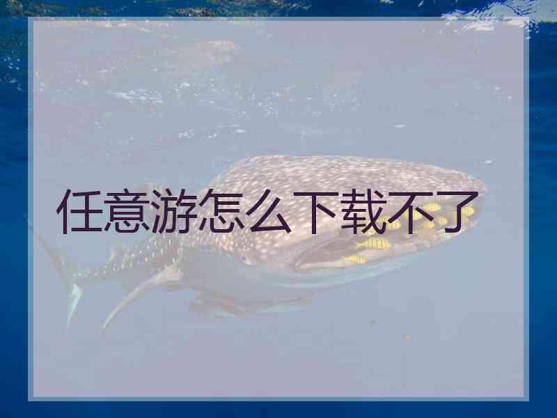 任意游怎么下载不了