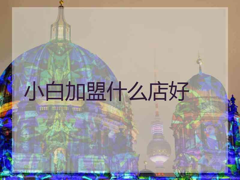 小白加盟什么店好