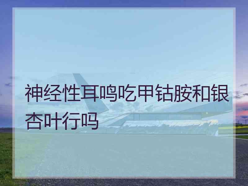 神经性耳鸣吃甲钴胺和银杏叶行吗