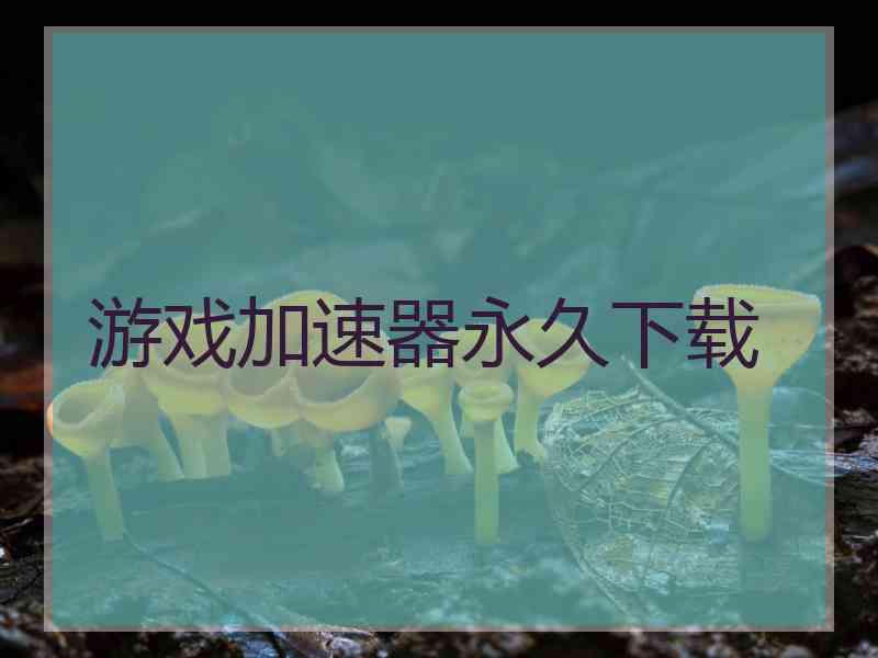 游戏加速器永久下载