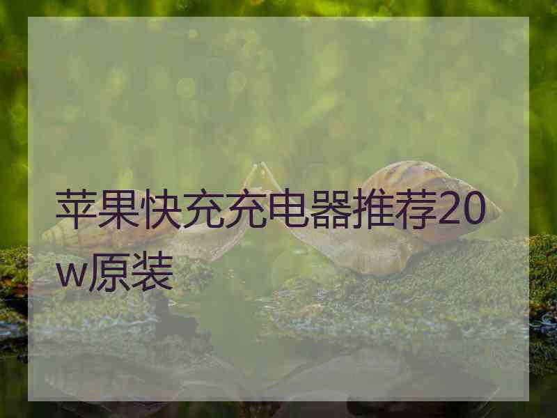 苹果快充充电器推荐20w原装