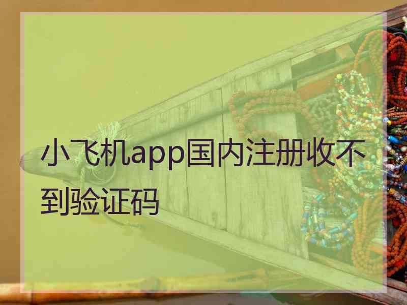 小飞机app国内注册收不到验证码