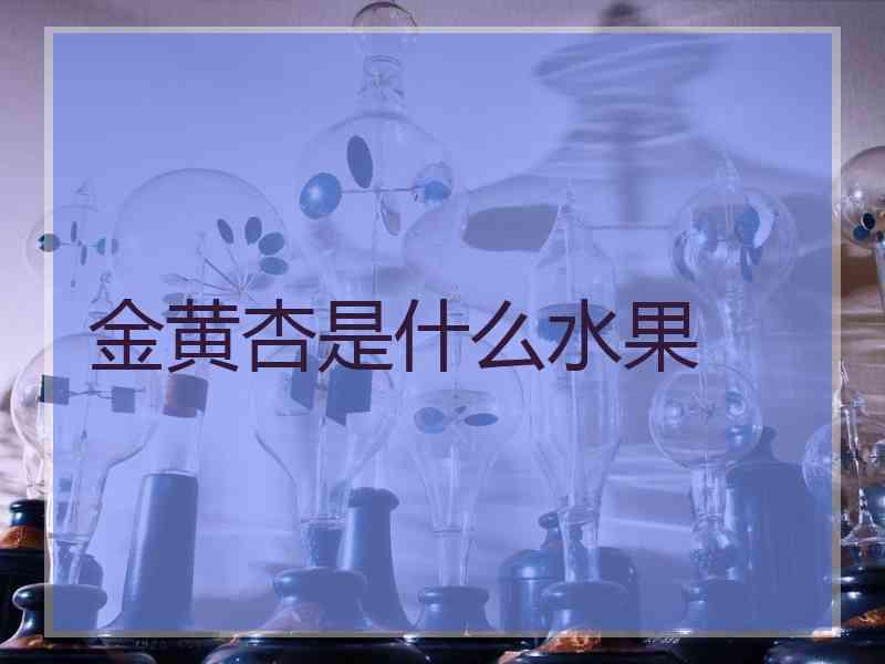 金黄杏是什么水果
