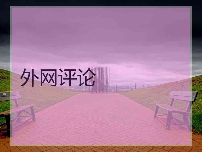 外网评论