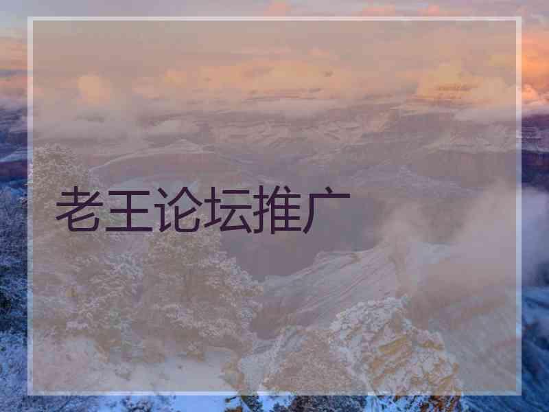 老王论坛推广