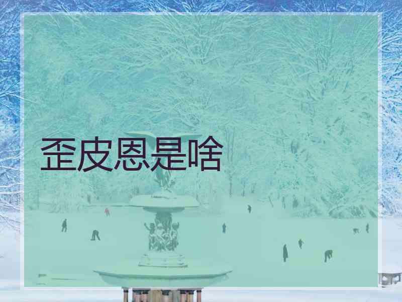 歪皮恩是啥