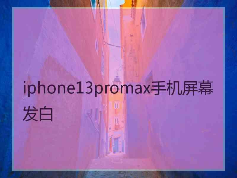 iphone13promax手机屏幕发白