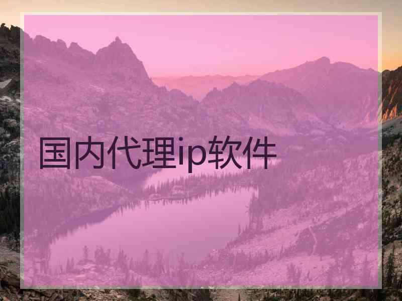 国内代理ip软件