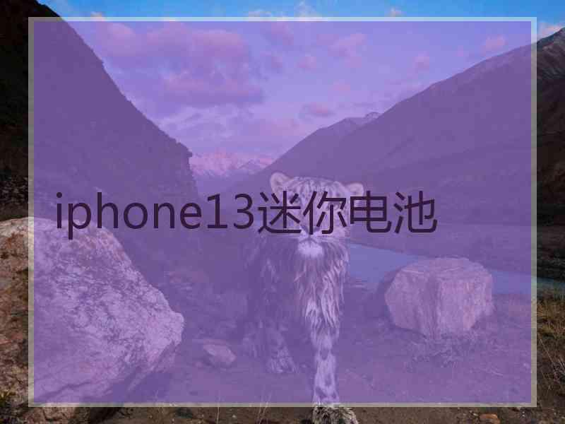 iphone13迷你电池