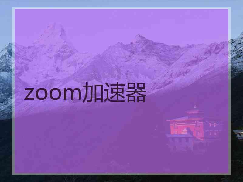 zoom加速器