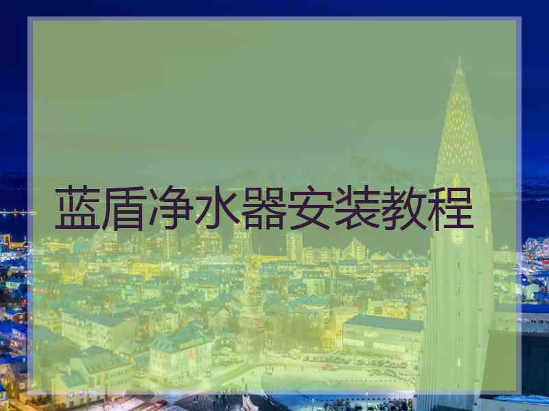 蓝盾净水器安装教程