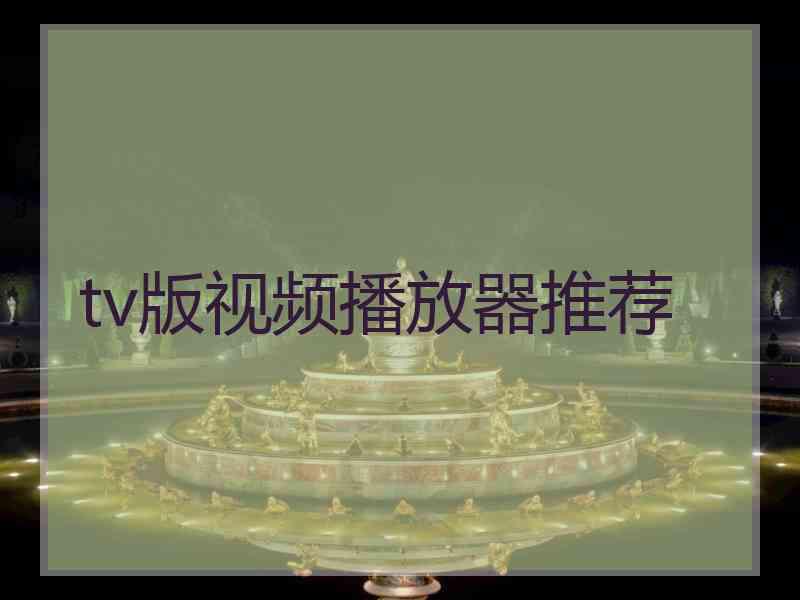 tv版视频播放器推荐
