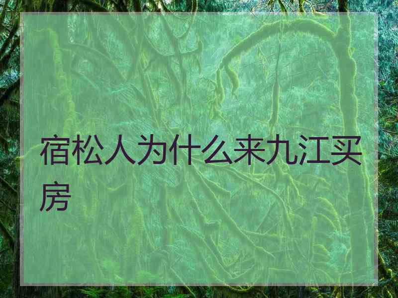 宿松人为什么来九江买房