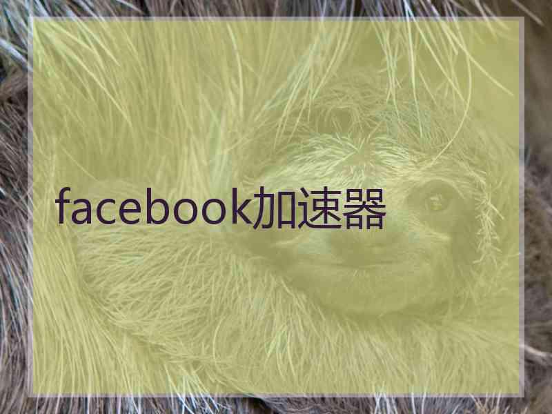 facebook加速器