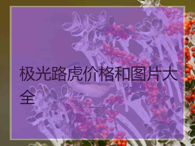 极光路虎价格和图片大全