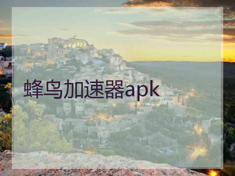 蜂鸟加速器apk