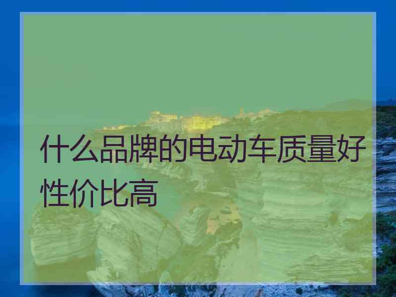 什么品牌的电动车质量好性价比高