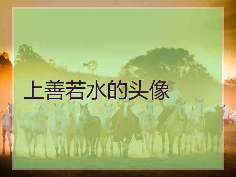 上善若水的头像