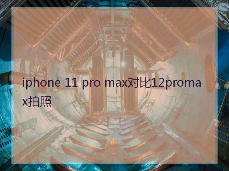 iphone 11 pro max对比12promax拍照