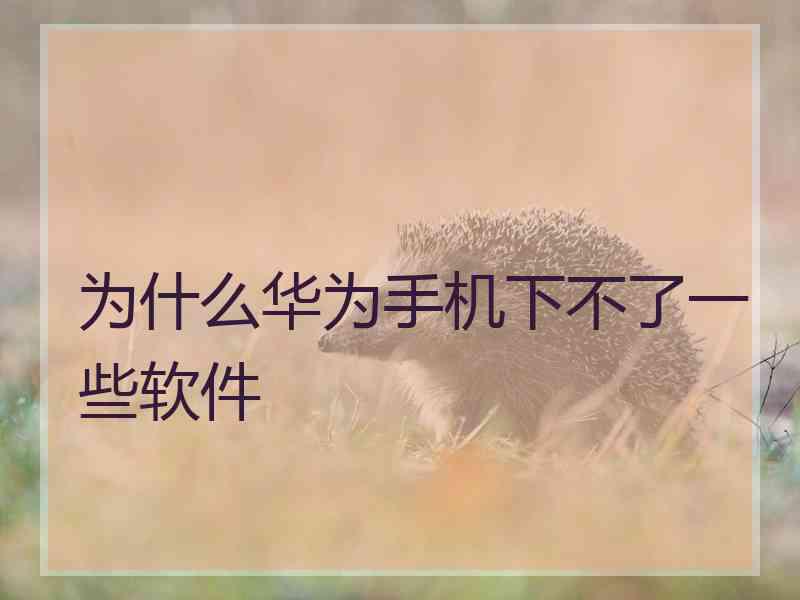 为什么华为手机下不了一些软件
