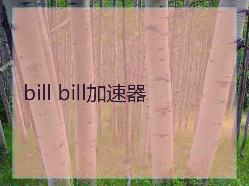 bill bill加速器