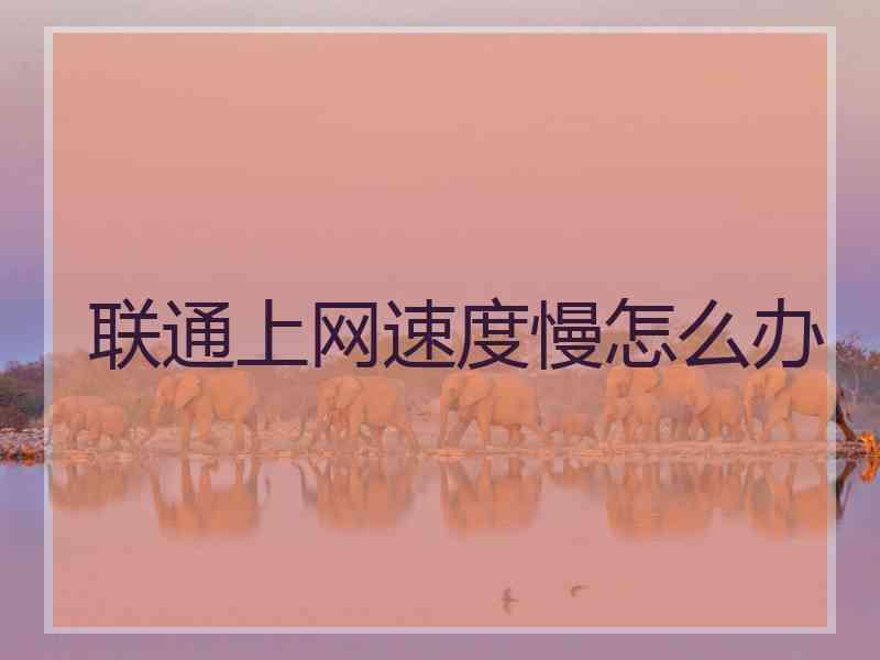 联通上网速度慢怎么办