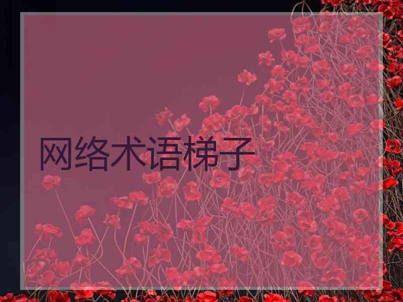 网络术语梯子