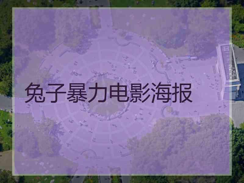 兔子暴力电影海报