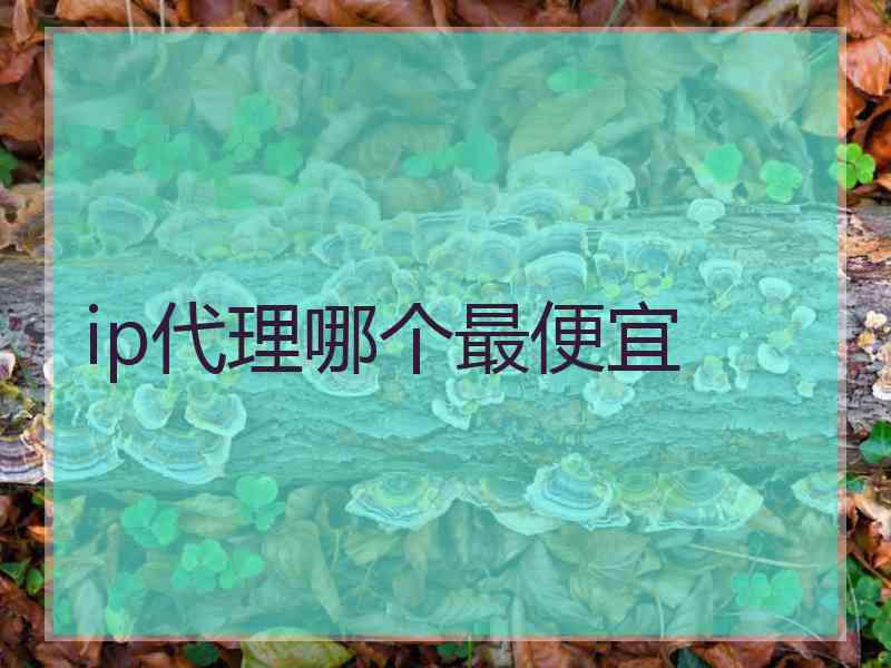 ip代理哪个最便宜