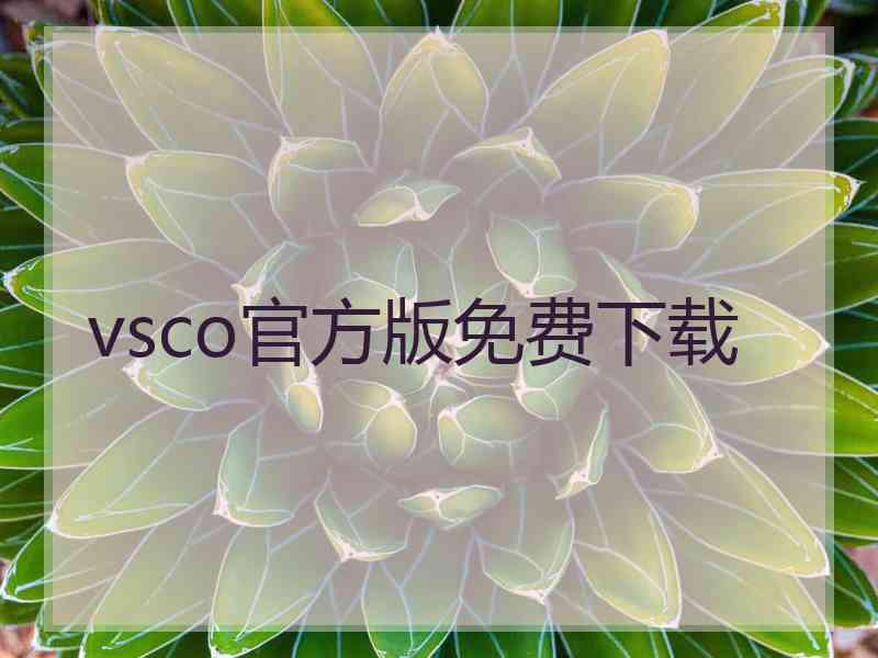 vsco官方版免费下载