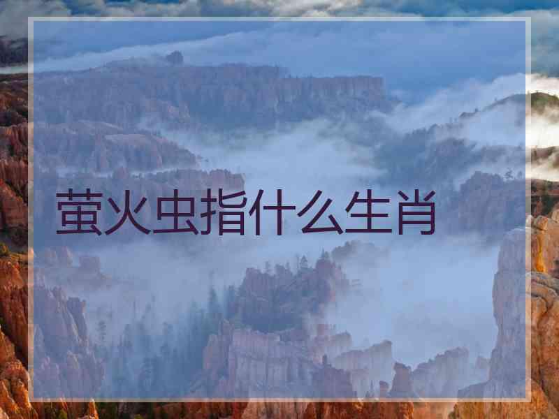 萤火虫指什么生肖