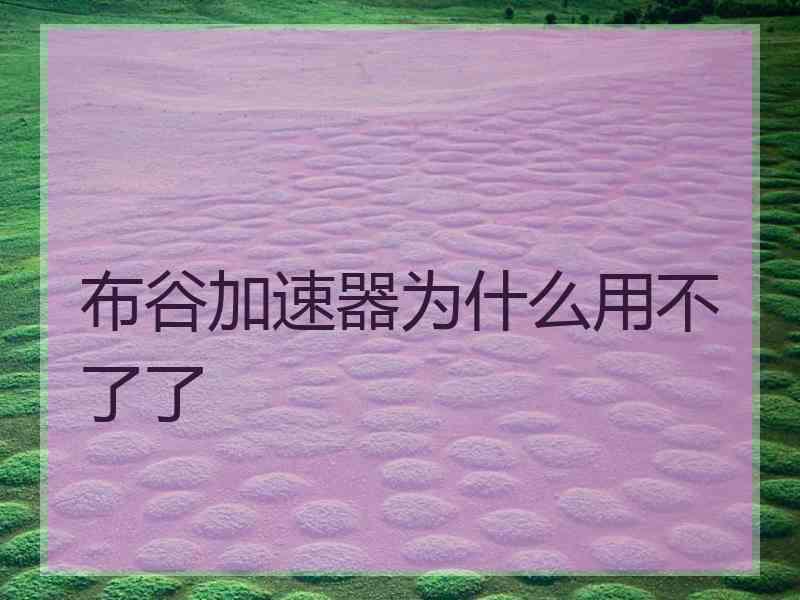 布谷加速器为什么用不了了