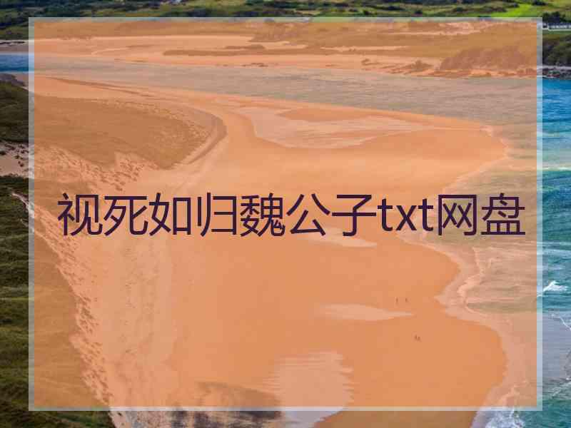 视死如归魏公子txt网盘
