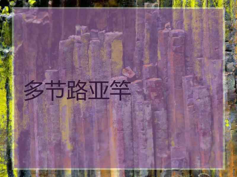 多节路亚竿
