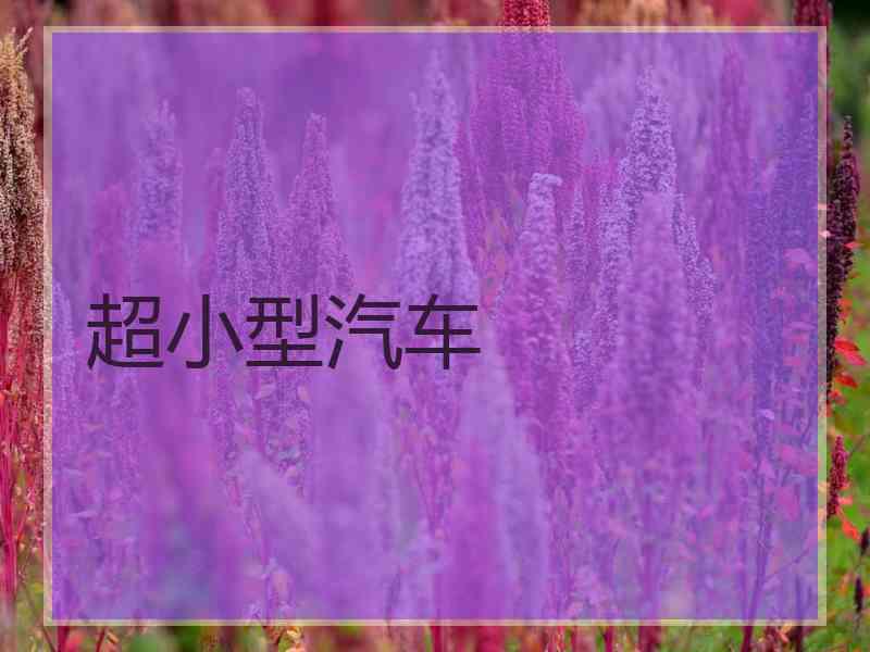 超小型汽车