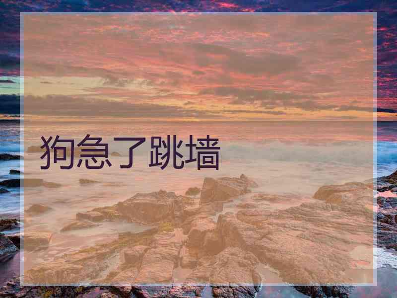 狗急了跳墙