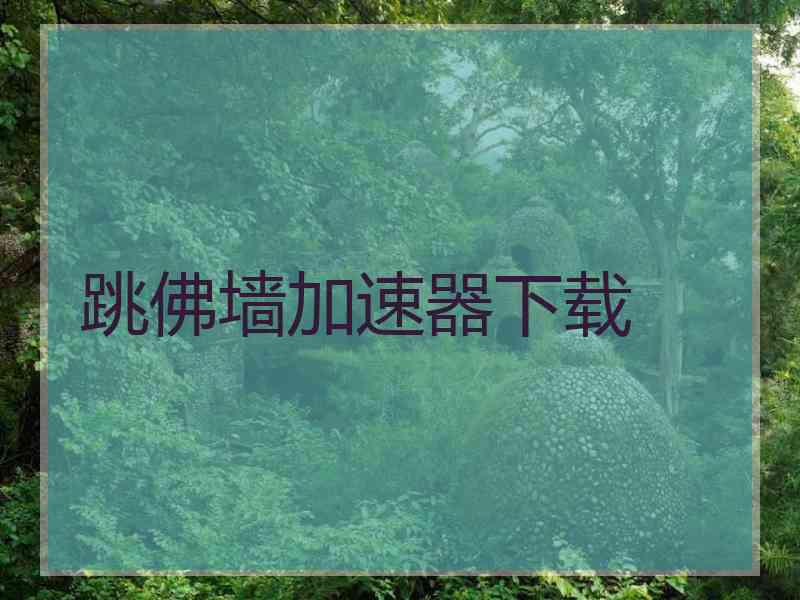 跳佛墙加速器下载