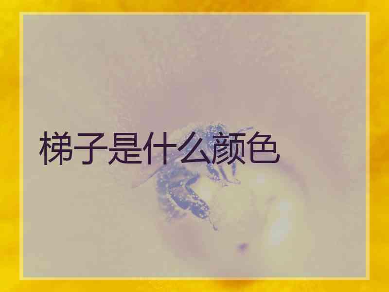 梯子是什么颜色