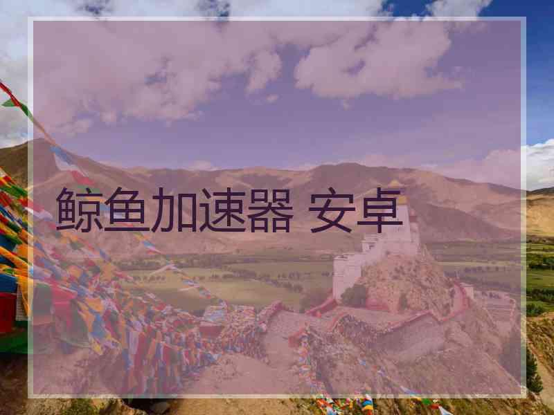鲸鱼加速器 安卓