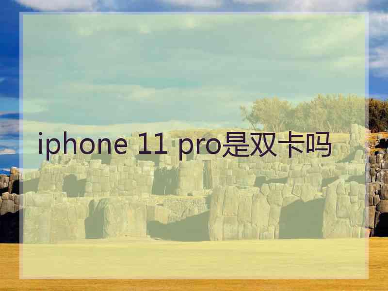 iphone 11 pro是双卡吗