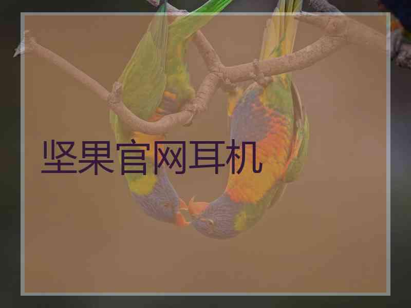坚果官网耳机