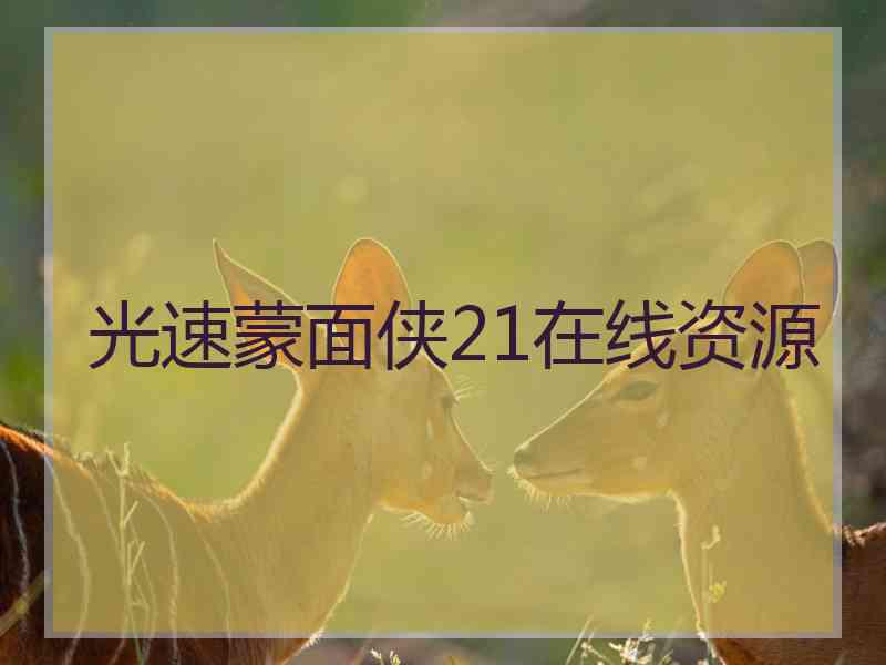 光速蒙面侠21在线资源