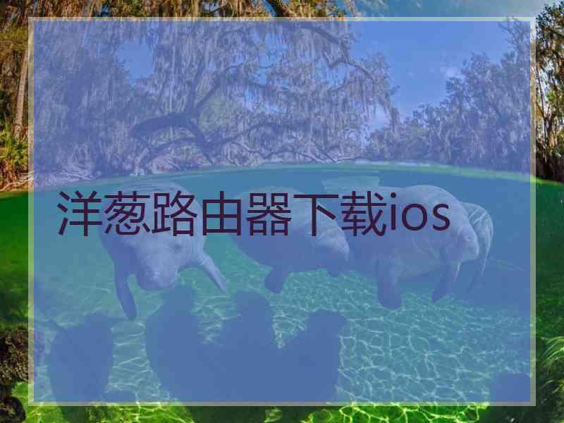 洋葱路由器下载ios