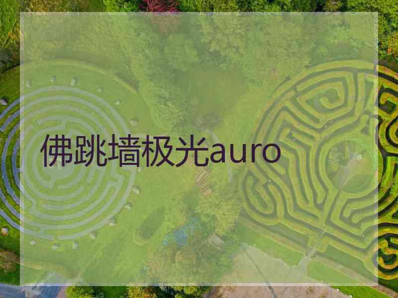 佛跳墙极光auro