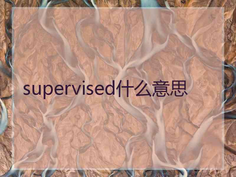supervised什么意思