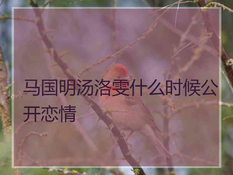 马国明汤洛雯什么时候公开恋情