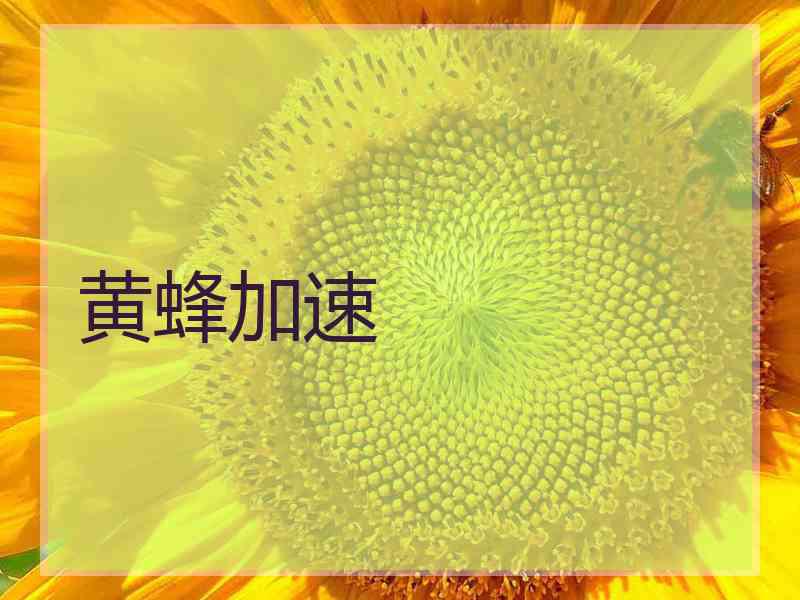黄蜂加速