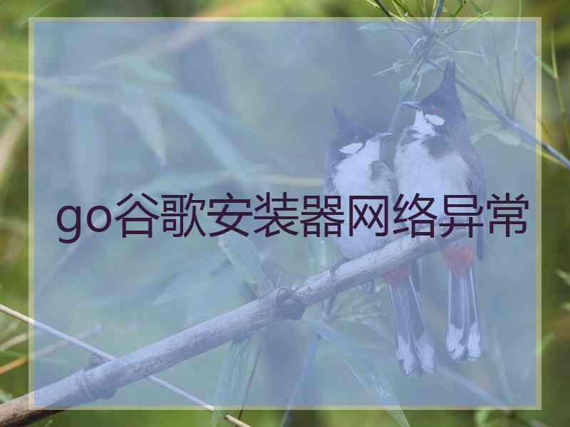 go谷歌安装器网络异常