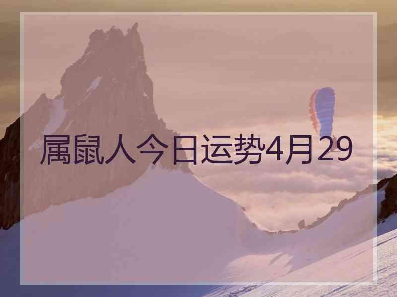 属鼠人今日运势4月29