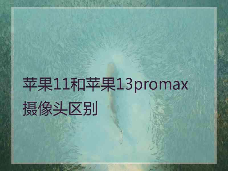 苹果11和苹果13promax摄像头区别
